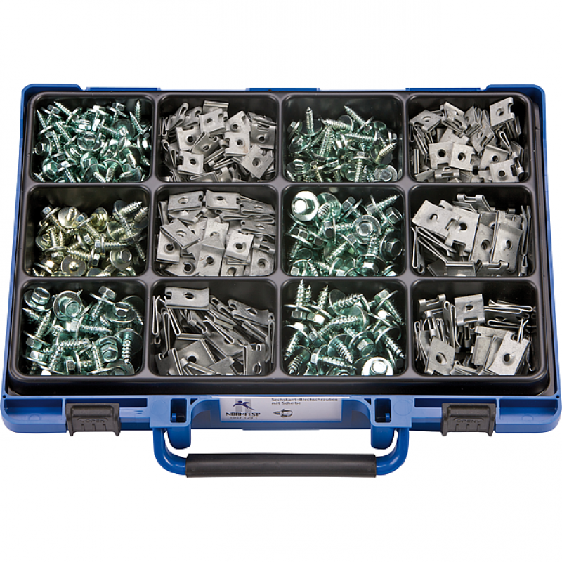 Assortiment de Vis de Carro avec plaquettes écrou cage
