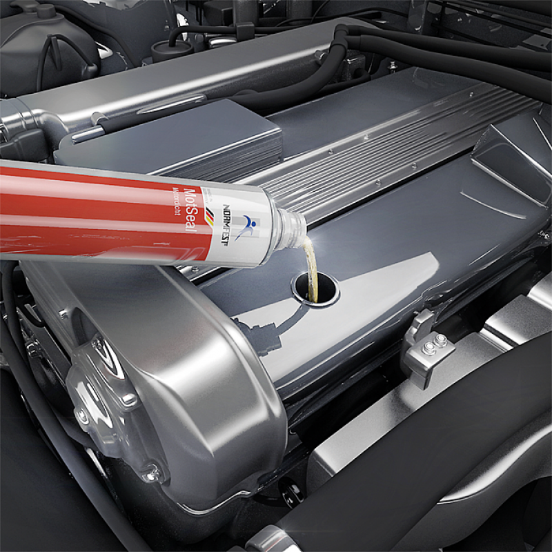 Mot Seal Additif protectif et préventif fuite d'huile