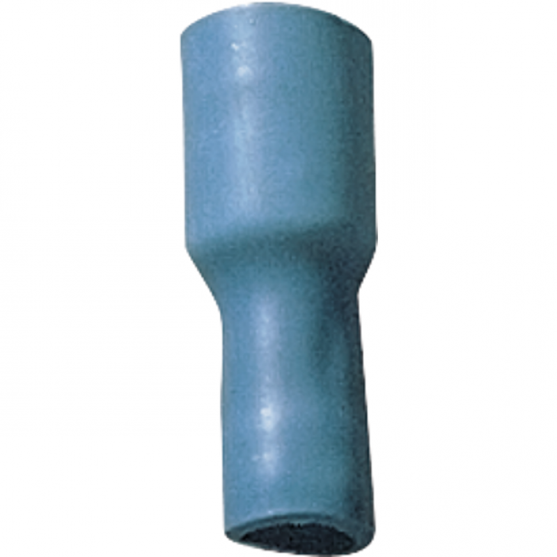 Fiche isolé bleu femelle