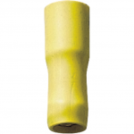 Cosse ronde femelle jaune