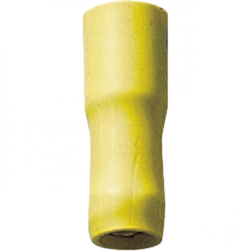 Cosse ronde femelle jaune