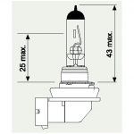 12V H11 ABGEWINKELTER SOCKEL 55W