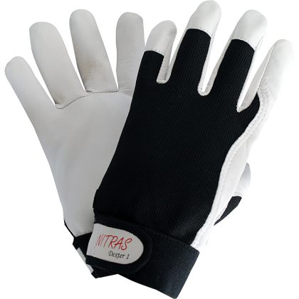 Gant Cuir Nappa T8 V10