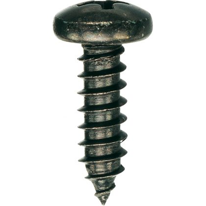 Vis noir traité din 7981 SCHW.-VZ.5,5X25