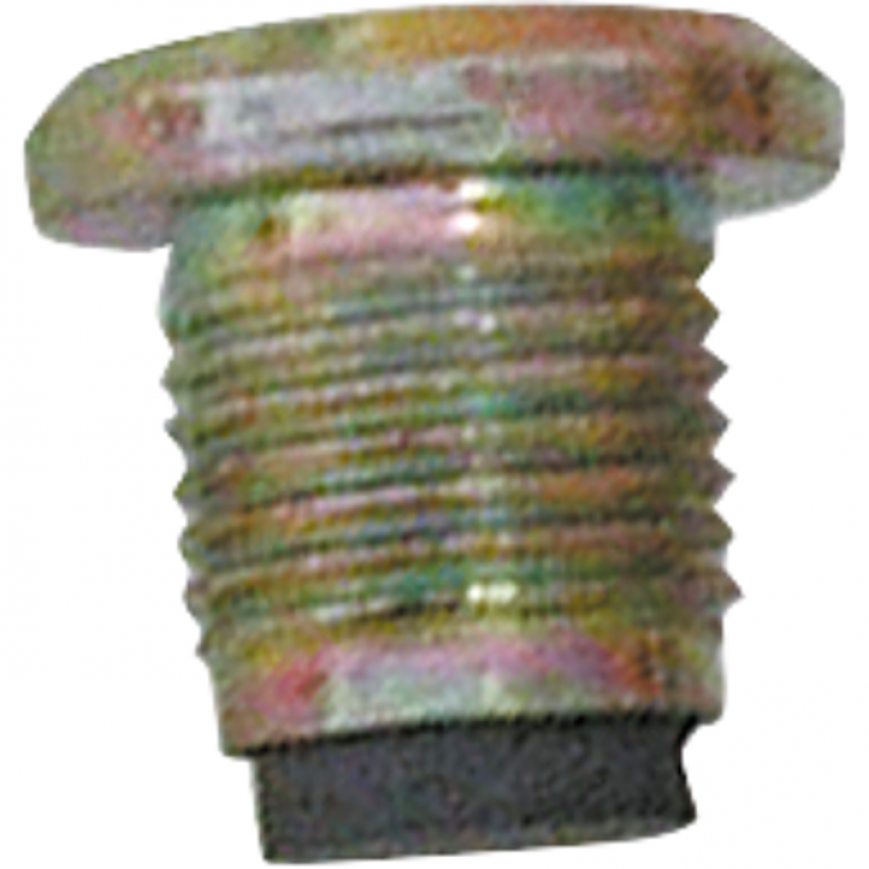 VERSCHL.SCHR.RENAULT M16X1,5 MAGNET