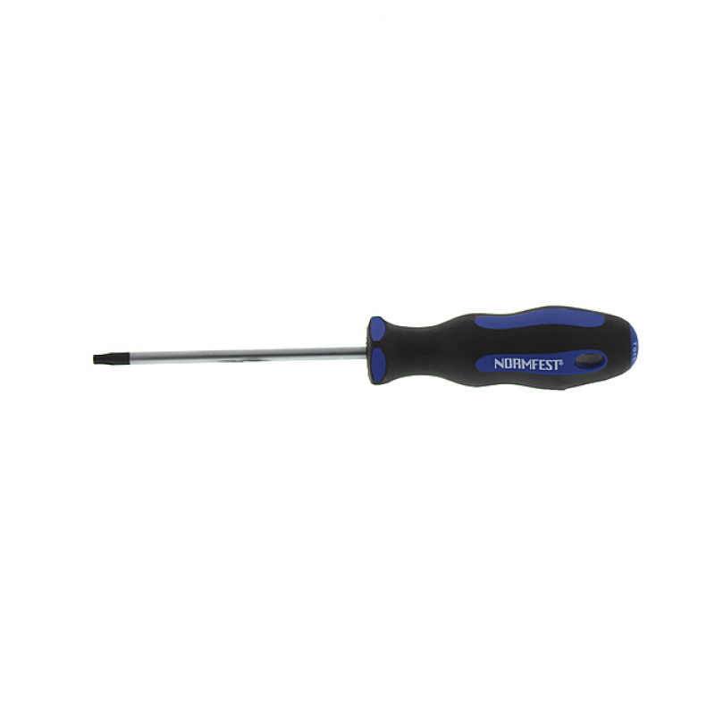 TORX-SCHRAUBENDREHER T-20x100MM