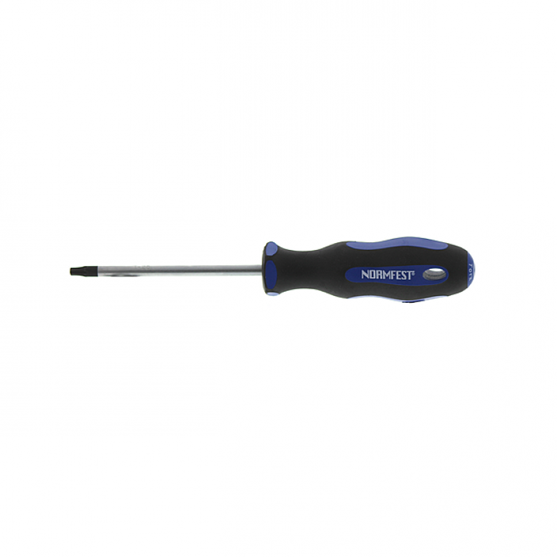TORX-SCHRAUBENDREHER T-25x100MM