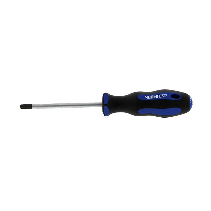 TORX-SCHRAUBENDREHER T-30x100MM