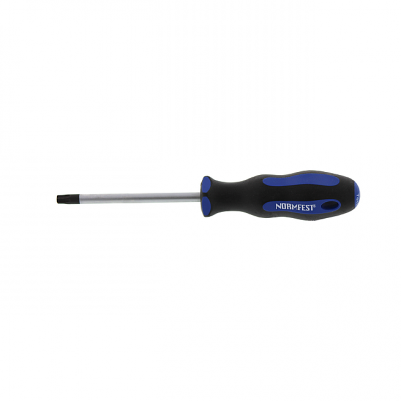 TORX-SCHRAUBENDREHER T-40x100MM