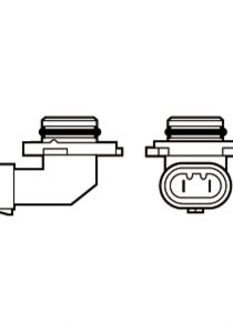 12V HB3 ABGEWINKELTER SOCKEL 60W